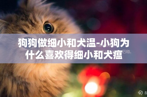 狗狗做細小和犬溫-小狗為什么喜歡得細小和犬瘟