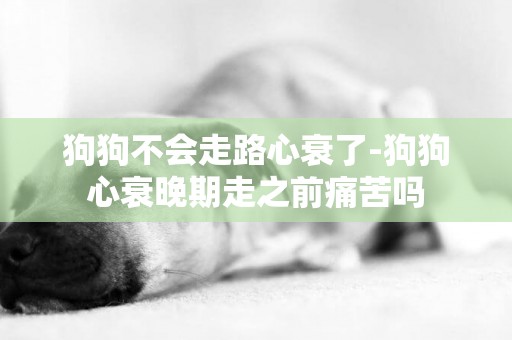 狗狗不會走路心衰了-狗狗心衰晚期走之前痛苦嗎