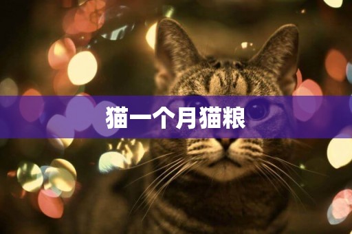 貓一個月貓糧