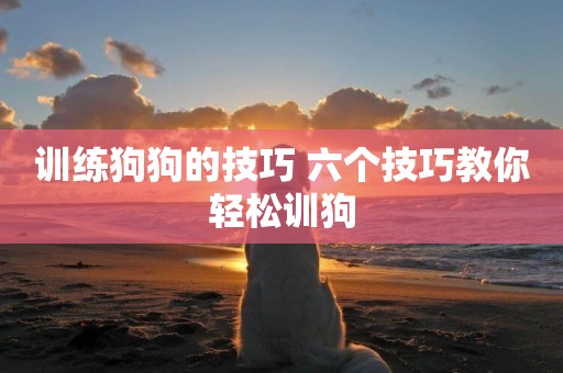 訓練狗狗的技巧 六個技巧教你輕松訓狗