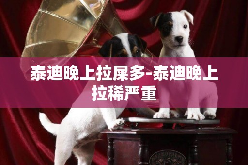 泰迪晚上拉屎多-泰迪晚上拉稀嚴重