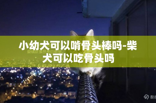 小幼犬可以啃骨頭棒嗎-柴犬可以吃骨頭嗎