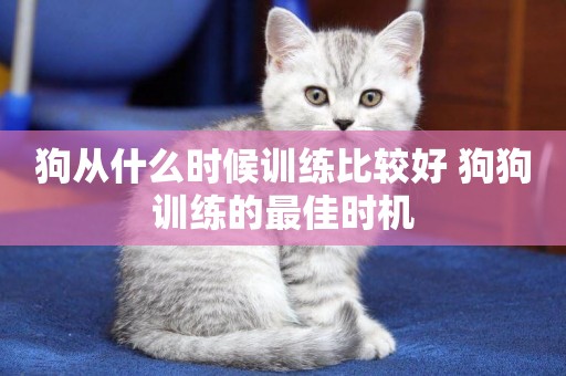 狗從什么時候訓練比較好 狗狗訓練的最佳時機