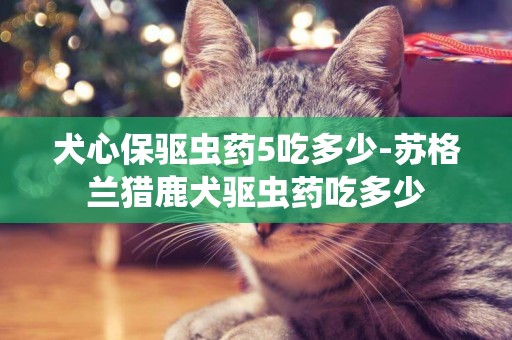犬心保驅蟲藥5吃多少-蘇格蘭獵鹿犬驅蟲藥吃多少