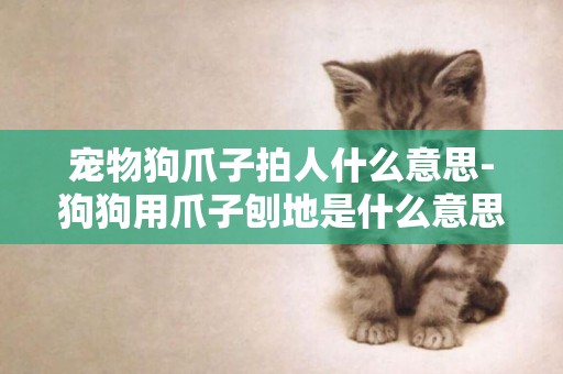 寵物狗爪子拍人什么意思-狗狗用爪子刨地是什么意思