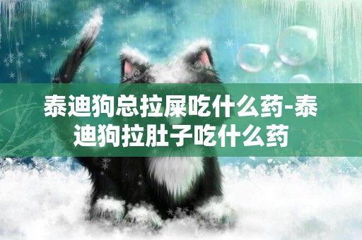 泰迪狗總拉屎吃什么藥-泰迪狗拉肚子吃什么藥