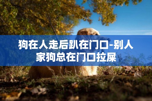狗在人走后趴在門口-別人家狗總在門口拉屎