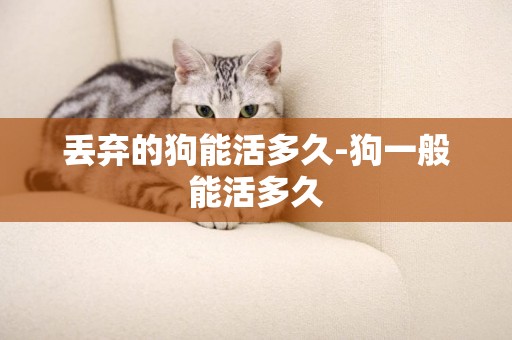 丟棄的狗能活多久-狗一般能活多久