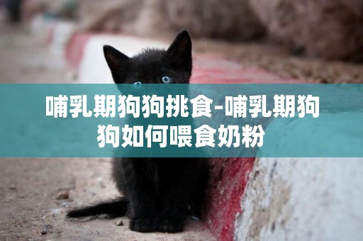 哺乳期狗狗挑食-哺乳期狗狗如何喂食奶粉