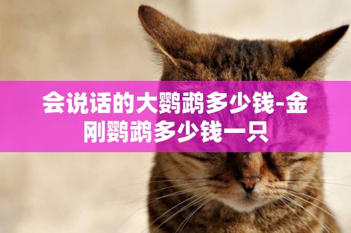 會說話的大鸚鵡多少錢-金剛鸚鵡多少錢一只