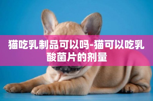 貓吃乳制品可以嗎-貓可以吃乳酸菌片的劑量