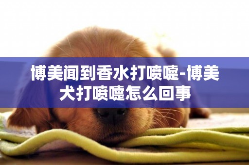 博美聞到香水打噴嚏-博美犬打噴嚏怎么回事