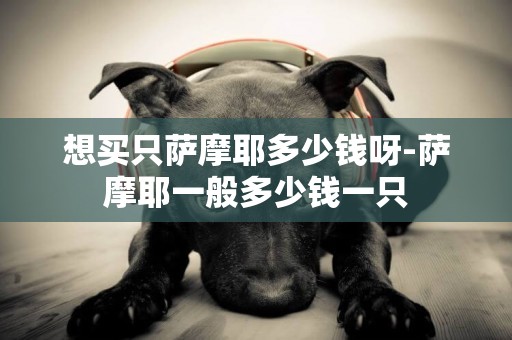 想買只薩摩耶多少錢呀-薩摩耶一般多少錢一只