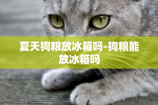 夏天狗糧放冰箱嗎-狗糧能放冰箱嗎