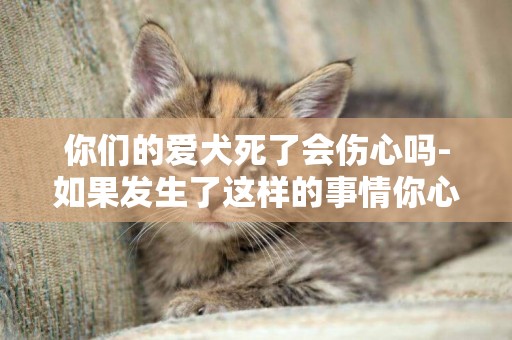你們的愛犬死了會傷心嗎-如果發生了這樣的事情你心里會有傷嗎