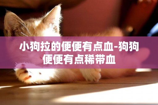 小狗拉的便便有點血-狗狗便便有點稀帶血