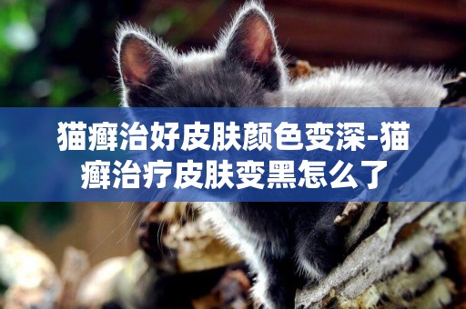 貓癬治好皮膚顏色變深-貓癬治療皮膚變黑怎么了