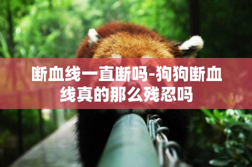 斷血線一直斷嗎-狗狗斷血線真的那么殘忍嗎