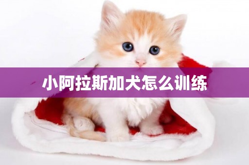 小阿拉斯加犬怎么訓練