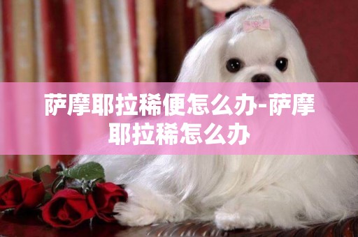 薩摩耶拉稀便怎么辦-薩摩耶拉稀怎么辦