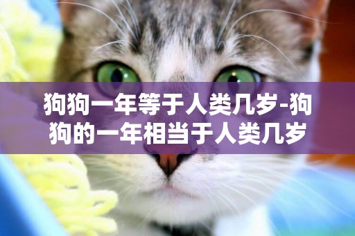 狗狗一年等于人類幾歲-狗狗的一年相當于人類幾歲