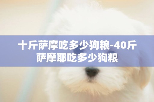 十斤薩摩吃多少狗糧-40斤薩摩耶吃多少狗糧