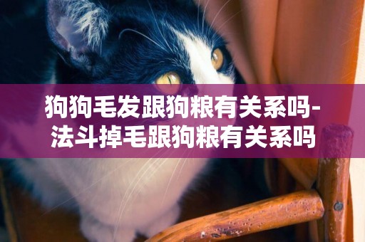 狗狗毛發跟狗糧有關系嗎-法斗掉毛跟狗糧有關系嗎