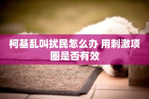 柯基亂叫擾民怎么辦 用刺激項圈是否有效