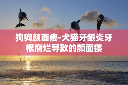 狗狗顏面瘺-犬貓牙齦炎牙根腐爛導致的顏面瘺