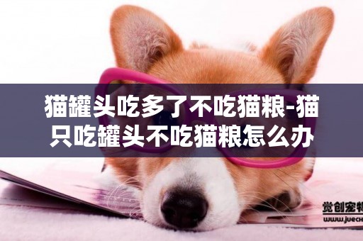 貓罐頭吃多了不吃貓糧-貓只吃罐頭不吃貓糧怎么辦