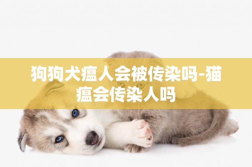 狗狗犬瘟人會被傳染嗎-貓瘟會傳染人嗎