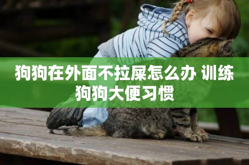 狗狗在外面不拉屎怎么辦 訓練狗狗大便習慣