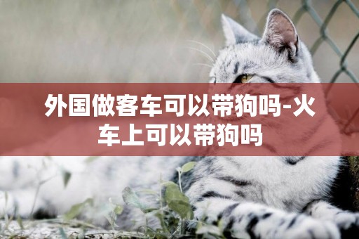 外國做客車可以帶狗嗎-火車上可以帶狗嗎