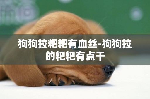 狗狗拉粑粑有血絲-狗狗拉的粑粑有點干