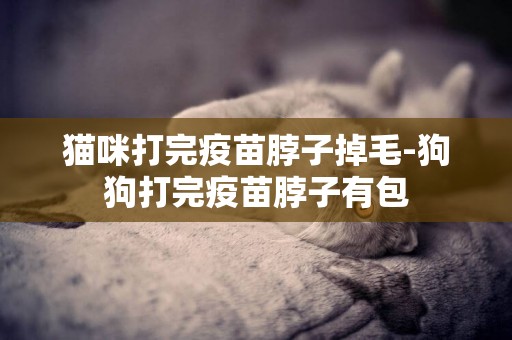 貓咪打完疫苗脖子掉毛-狗狗打完疫苗脖子有包