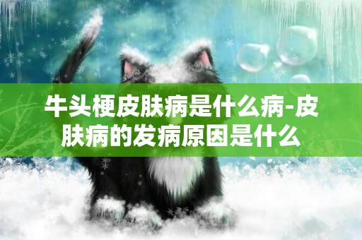 牛頭梗皮膚病是什么病-皮膚病的發病原因是什么