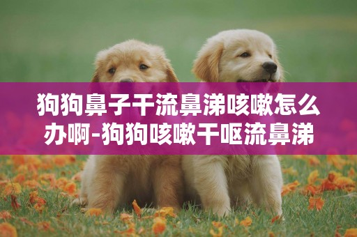 狗狗鼻子干流鼻涕咳嗽怎么辦啊-狗狗咳嗽干嘔流鼻涕咳嗽怎么回事