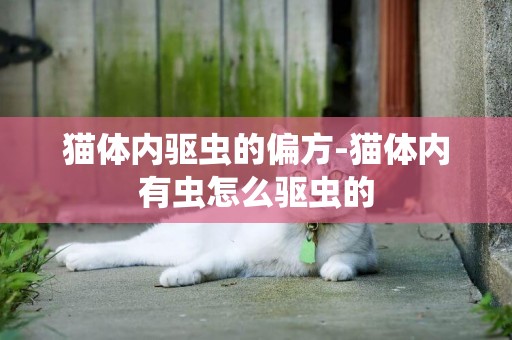 貓體內驅蟲的偏方-貓體內有蟲怎么驅蟲的