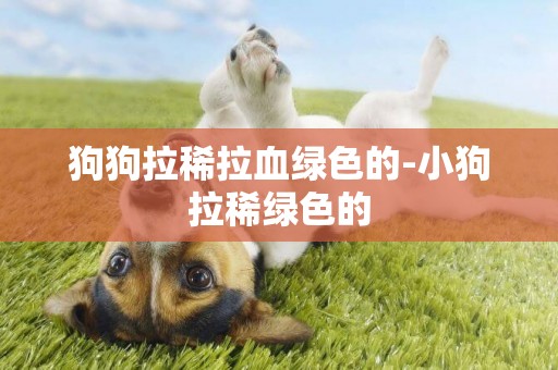 狗狗拉稀拉血綠色的-小狗拉稀綠色的
