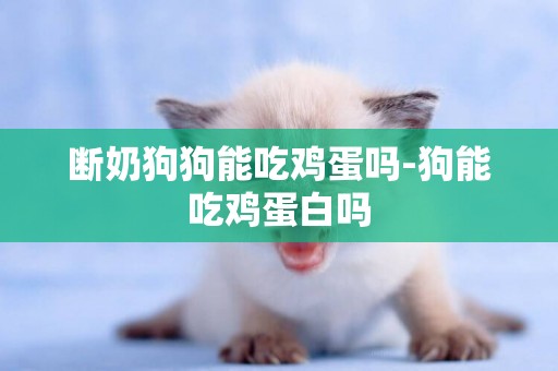 斷奶狗狗能吃雞蛋嗎-狗能吃雞蛋白嗎