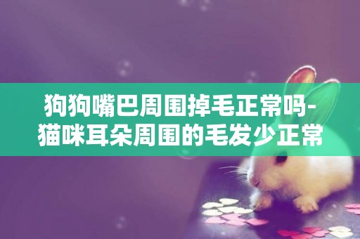 狗狗嘴巴周圍掉毛正常嗎-貓咪耳朵周圍的毛發少正常嗎
