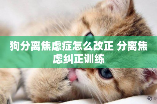 狗分離焦慮癥怎么改正 分離焦慮糾正訓練