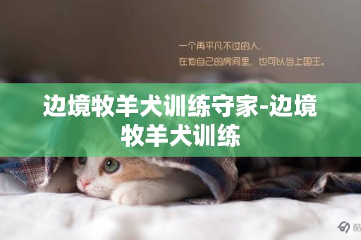 邊境牧羊犬訓練守家-邊境牧羊犬訓練
