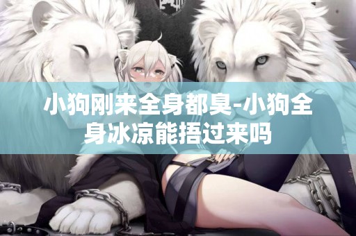 小狗剛來全身都臭-小狗全身冰涼能捂過來嗎