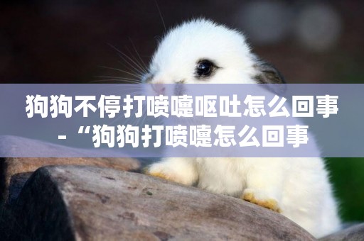 狗狗不停打噴嚏嘔吐怎么回事-“狗狗打噴嚏怎么回事