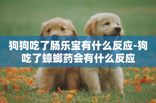 狗狗吃了腸樂寶有什么反應-狗吃了蟑螂藥會有什么反應
