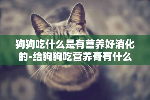 狗狗吃什么是有營養好消化的-給狗狗吃營養膏有什么好處