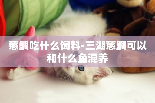 慈鯛吃什么飼料-三湖慈鯛可以和什么魚混養