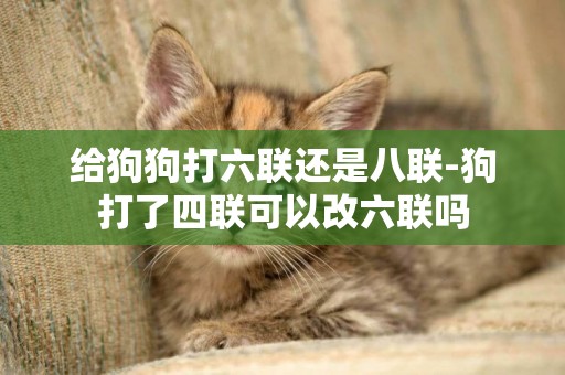 給狗狗打六聯還是八聯-狗打了四聯可以改六聯嗎