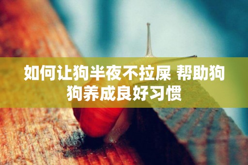 如何讓狗半夜不拉屎 幫助狗狗養成良好習慣